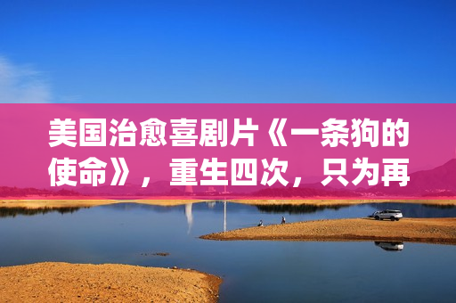 美国治愈喜剧片《一条狗的使命》，重生四次，只为再次遇见你！(必看美国喜剧)