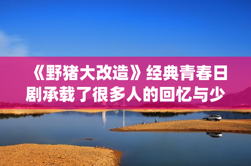 《野猪大改造》经典青春日剧承载了很多人的回忆与少女心(野猪大改造搞破坏的是谁)