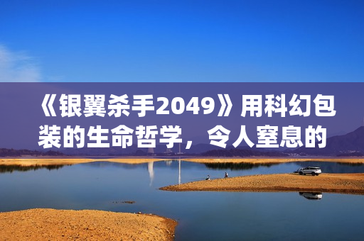 《银翼杀手2049》用科幻包装的生命哲学，令人窒息的视觉震撼(银翼杀手2049评分)