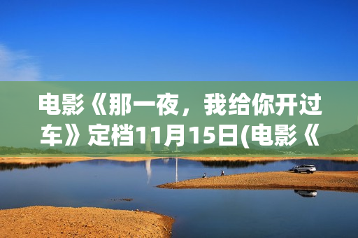 电影《那一夜，我给你开过车》定档11月15日(电影《那一夜》演员表)