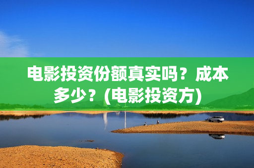 电影投资份额真实吗？成本多少？(电影投资方)