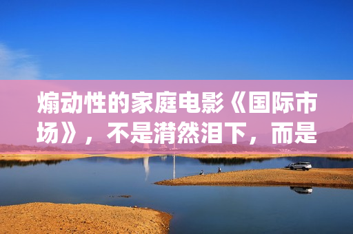 煽动性的家庭电影《国际市场》，不是潸然泪下，而是哭出声来(煽动性的家庭电影)