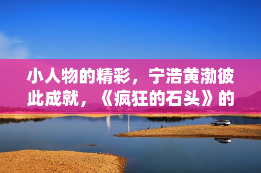 小人物的精彩，宁浩黄渤彼此成就，《疯狂的石头》的成功不无道理(小人物的精彩人生)