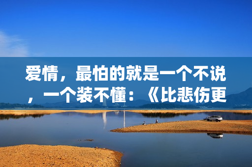 爱情，最怕的就是一个不说，一个装不懂：《比悲伤更悲伤的故事》(感情中最怕的就是)