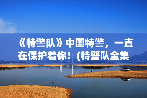 《特警队》中国特警，一直在保护着你！(特警队全集)