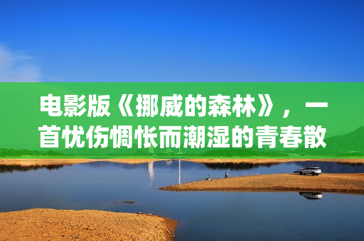 电影版《挪威的森林》，一首忧伤惆怅而潮湿的青春散文诗(挪威剧情电影)