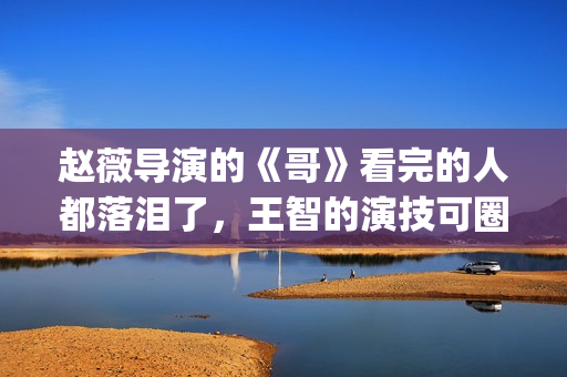 赵薇导演的《哥》看完的人都落泪了，王智的演技可圈可点！(赵薇导演的《哥哥》视频)