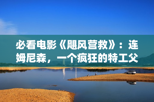 必看电影《飓风营救》：连姆尼森，一个疯狂的特工父亲，让人泪目(电影 飓风)