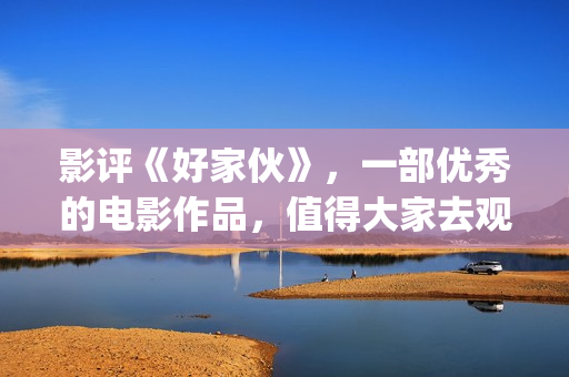 影评《好家伙》，一部优秀的电影作品，值得大家去观看！(影评《好家伙》在线观看)