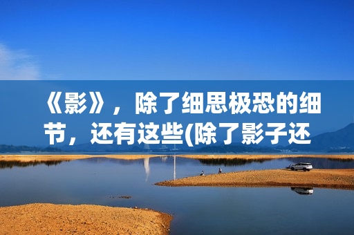 《影》，除了细思极恐的细节，还有这些(除了影子还有什么会对你不离不弃)