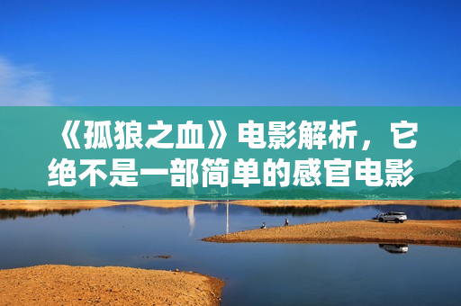 《孤狼之血》电影解析，它绝不是一部简单的感官电影