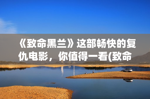 《致命黑兰》这部畅快的复仇电影，你值得一看(致命黑兰还叫什么名)