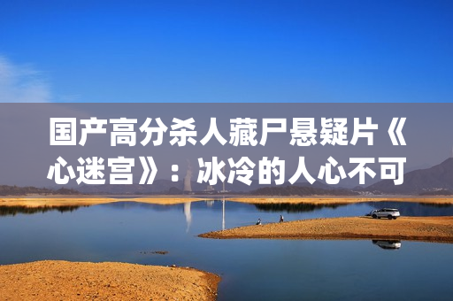 国产高分杀人藏尸悬疑片《心迷宫》：冰冷的人心不可直视(国产凶杀悬疑电影)