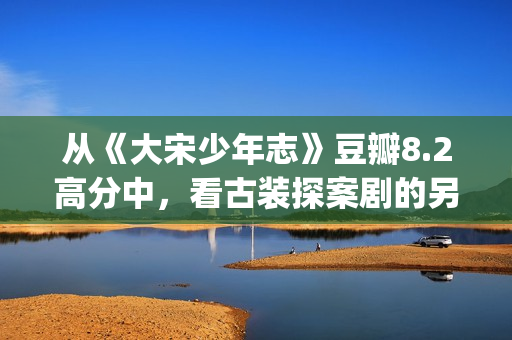从《大宋少年志》豆瓣8.2高分中，看古装探案剧的另一种发展方向(大宋少年志?)