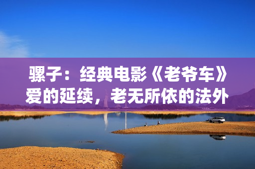 骡子：经典电影《老爷车》爱的延续，老无所依的法外之徒(骡子电影演员表)