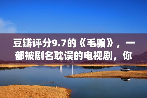 豆瓣评分9.7的《毛骗》，一部被剧名耽误的电视剧，你看过没？(豆瓣评分9.0以上的)