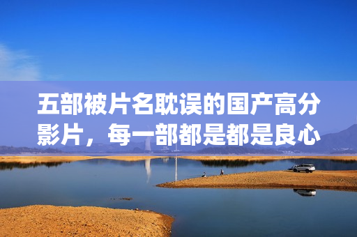 五部被片名耽误的国产高分影片，每一部都是都是良心之作(被耽误了的电影明星)