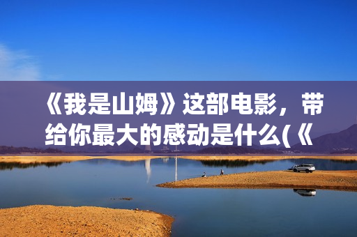 《我是山姆》这部电影，带给你最大的感动是什么(《我是山姆》这本书在哪)
