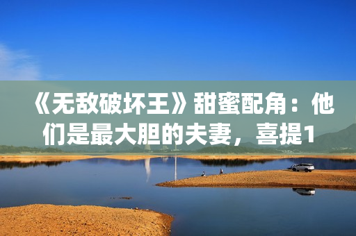 《无敌破坏王》甜蜜配角：他们是最大胆的夫妻，喜提15位家庭成员(《无敌破坏王》国语版)