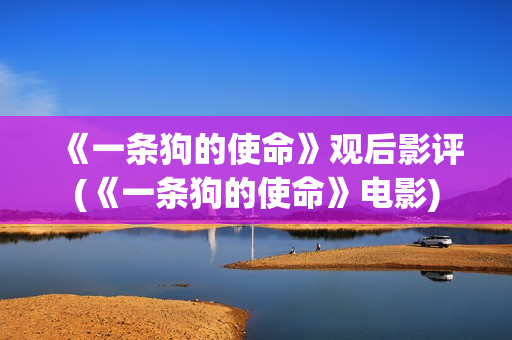《一条狗的使命》观后影评(《一条狗的使命》电影)