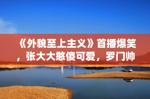 《外貌至上主义》首播爆笑，张大大憨傻可爱，罗门帅气担当(外貌至上主义小说在线阅读)