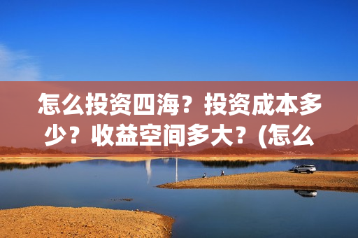 怎么投资四海？投资成本多少？收益空间多大？(怎么投资四海集团公司)