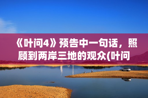 《叶问4》预告中一句话，照顾到两岸三地的观众(叶问4电影预告片)