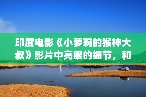 印度电影《小萝莉的猴神大叔》影片中亮眼的细节，和它收获的口碑也算是名副其实。(印度电影讲一个小女孩)