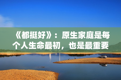 《都挺好》：原生家庭是每个人生命最初，也是最重要的关系。(都挺好原著结局太惨了)