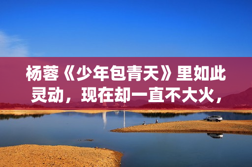 杨蓉《少年包青天》里如此灵动，现在却一直不大火，原因在这(杨蓉少年包青天)