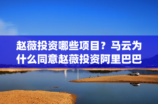 赵薇投资哪些项目？马云为什么同意赵薇投资阿里巴巴(赵薇投资赚了多少钱)