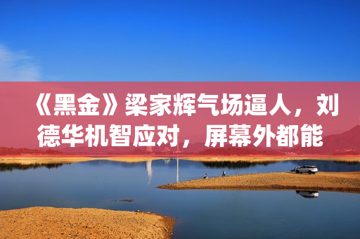 《黑金》梁家辉气场逼人，刘德华机智应对，屏幕外都能感觉到寒气(《黑金》梁家辉做旗袍)