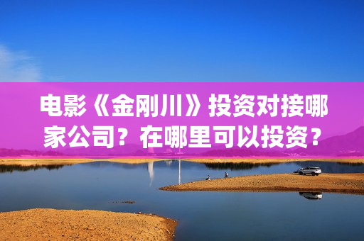 电影《金刚川》投资对接哪家公司？在哪里可以投资？制作成本多少？(电影金刚川观后感)