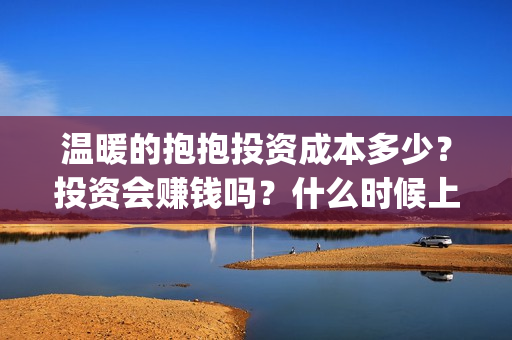 温暖的抱抱投资成本多少？投资会赚钱吗？什么时候上映(温暖的抱抱投资会血本无归吗)