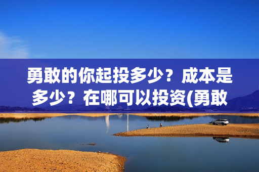 勇敢的你起投多少？成本是多少？在哪可以投资(勇敢的你值不值得投资)