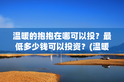温暖的抱抱在哪可以投？最低多少钱可以投资？(温暖的抱抱是什么剧情)