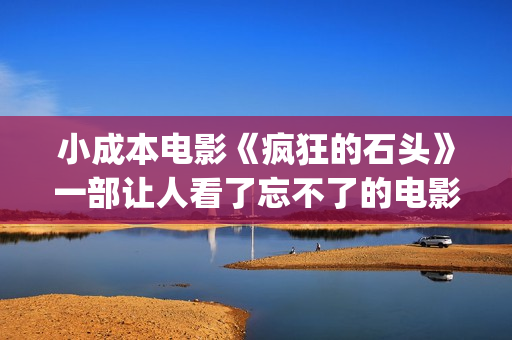 小成本电影《疯狂的石头》一部让人看了忘不了的电影(小成本高评分电影)