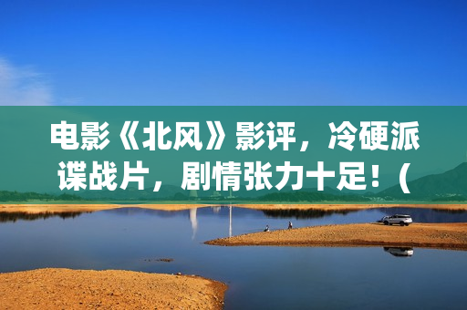 电影《北风》影评，冷硬派谍战片，剧情张力十足！(北风 电影)