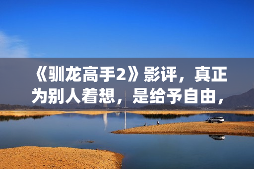 《驯龙高手2》影评，真正为别人着想，是给予自由，这才是真的爱(驯龙高手2在线观看)