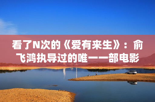 看了N次的《爱有来生》：俞飞鸿执导过的唯一一部电影(看了n次的《爱》的感受)