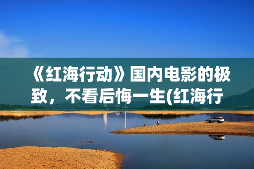 《红海行动》国内电影的极致，不看后悔一生(红海行动svd)