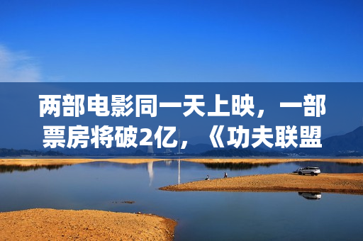 两部电影同一天上映，一部票房将破2亿，《功夫联盟》票房惨败(同一部电影看了两次后说说)