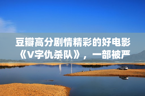 豆瓣高分剧情精彩的好电影《V字仇杀队》，一部被严重低估的大作(豆瓣高分剧情精选)