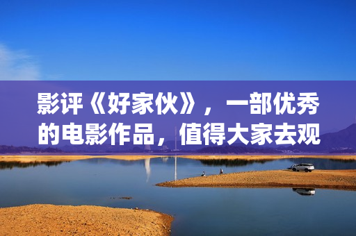 影评《好家伙》，一部优秀的电影作品，值得大家去观看！(好家伙影评全面解析)