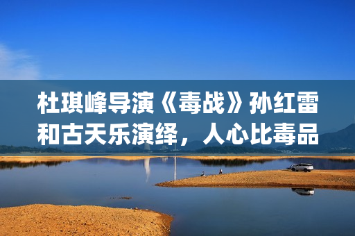 杜琪峰导演《毒战》孙红雷和古天乐演绎，人心比毒品更可怕(杜琪峰dvd)