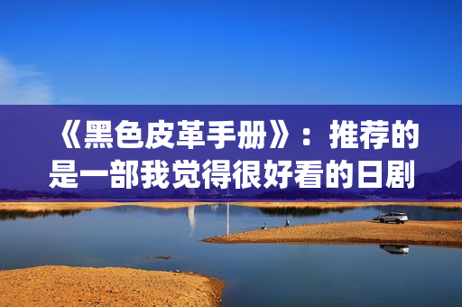 《黑色皮革手册》：推荐的是一部我觉得很好看的日剧(黑色皮革手册高清完整版)