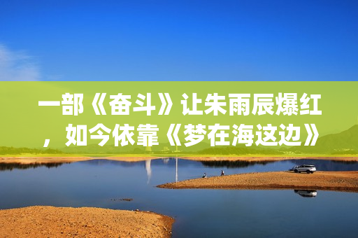 一部《奋斗》让朱雨辰爆红，如今依靠《梦在海这边》再次爆红！(奋斗电视剧是根据哪部小说改编)