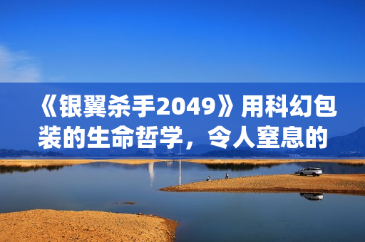 《银翼杀手2049》用科幻包装的生命哲学，令人窒息的视觉震撼(银翼杀手2049剧情解析)