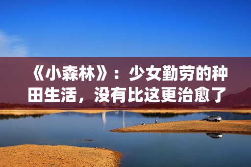 《小森林》:少女勤劳的种田生活,没有比这更治愈了(小森林经典) 《小森林》:少女勤劳的种田生活,没有比这更治愈了(小森林经典)