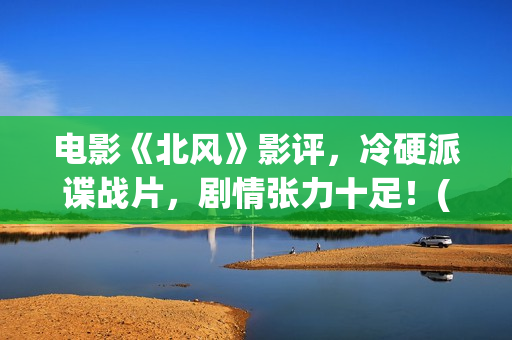 电影《北风》影评，冷硬派谍战片，剧情张力十足！(北风韩国电影北风)